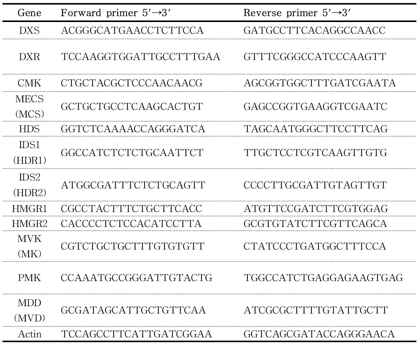 Primers used for qRT-PCR