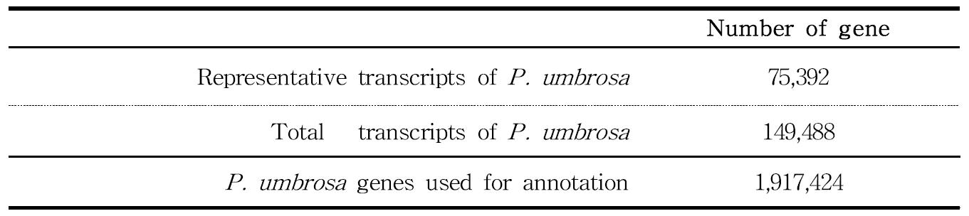 Comparison on gene statistics according to performed annotation of P. umbrosa