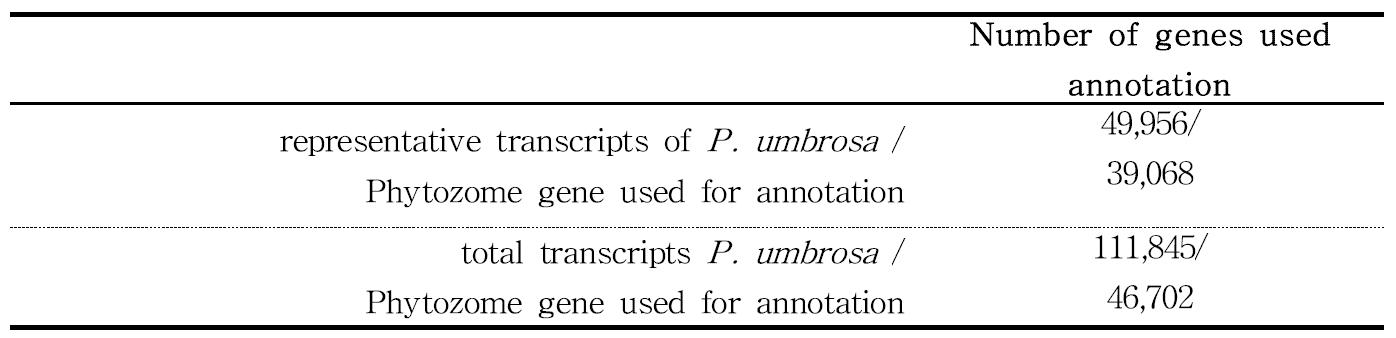 Comparison on gene statistics used in annotation of P. umbrosa