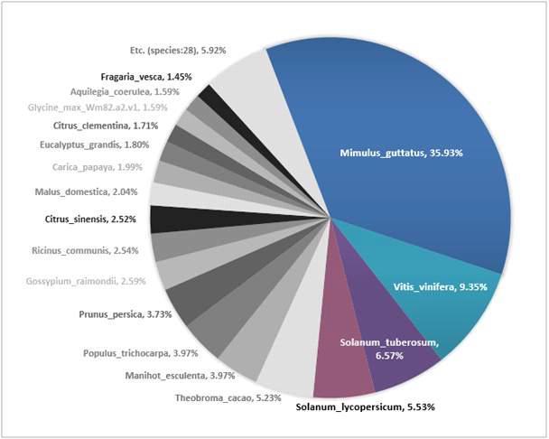 The relative sequence conservation of P. umbrosa representative transcripts with other plant species.