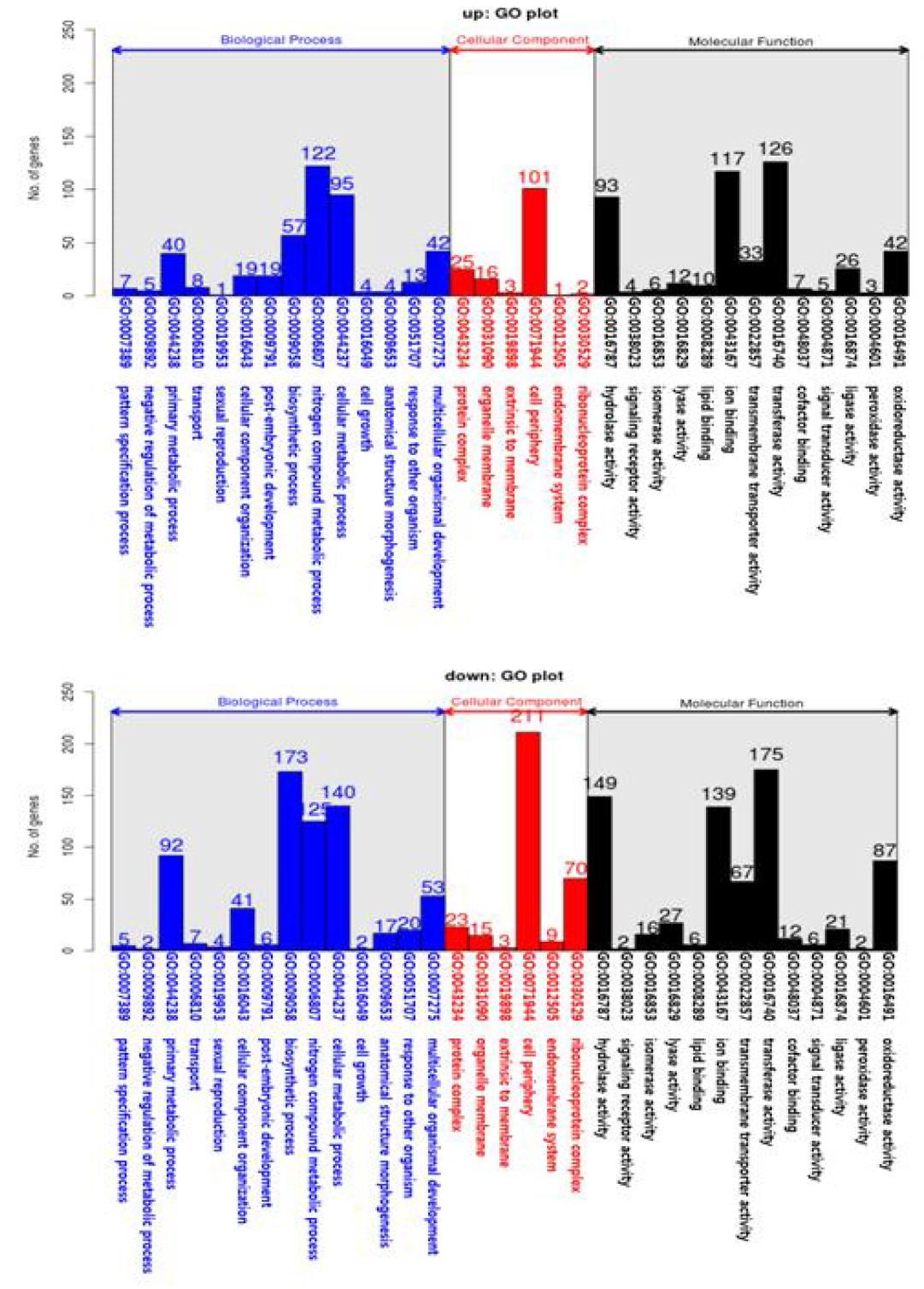 Bar plot of gene ontology (Biological Process, Cellular Component, Molecular Function) according to DEGs of P. umbrosa