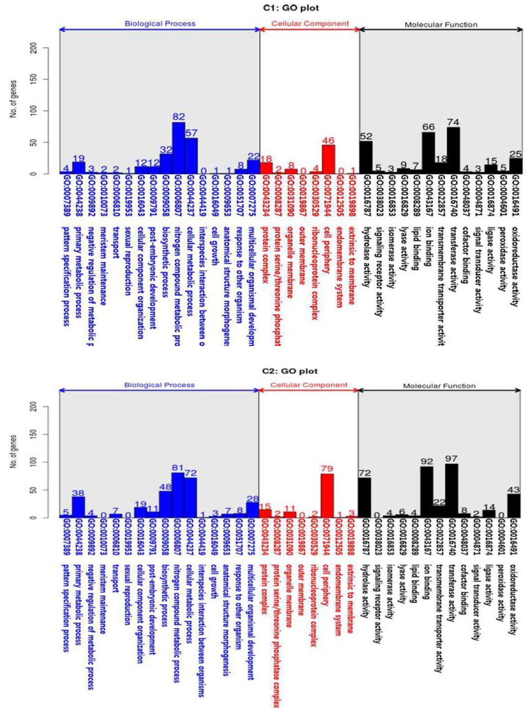 Results of cluster 1 and 2 according to gene ontology (Biological Process, Cellular Component, Molecular Function) of P. umbrosa