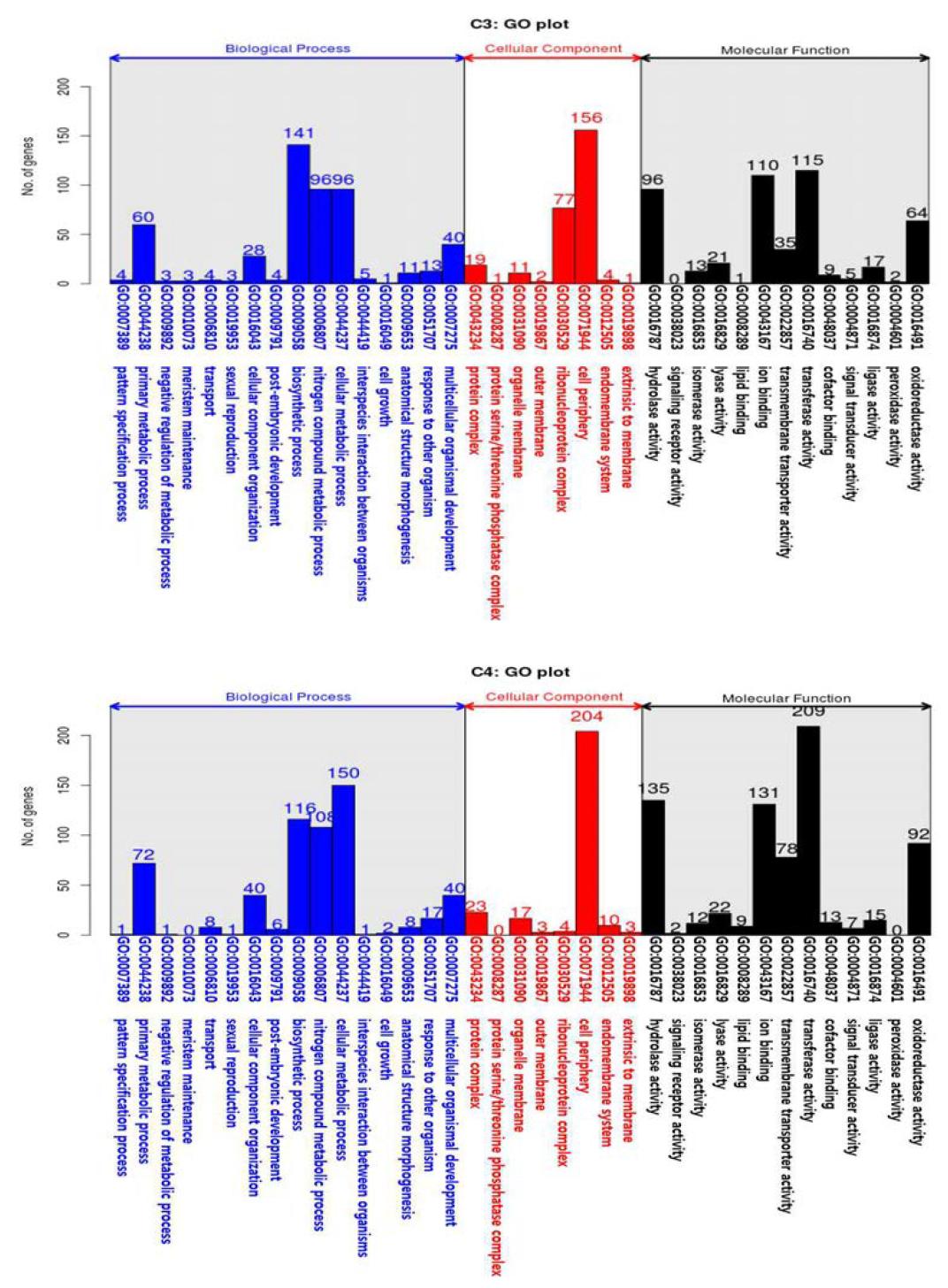 Results of cluster 3 and 4 according to gene ontology (Biological Process, Cellular Component, Molecular Function) of P. umbrosa