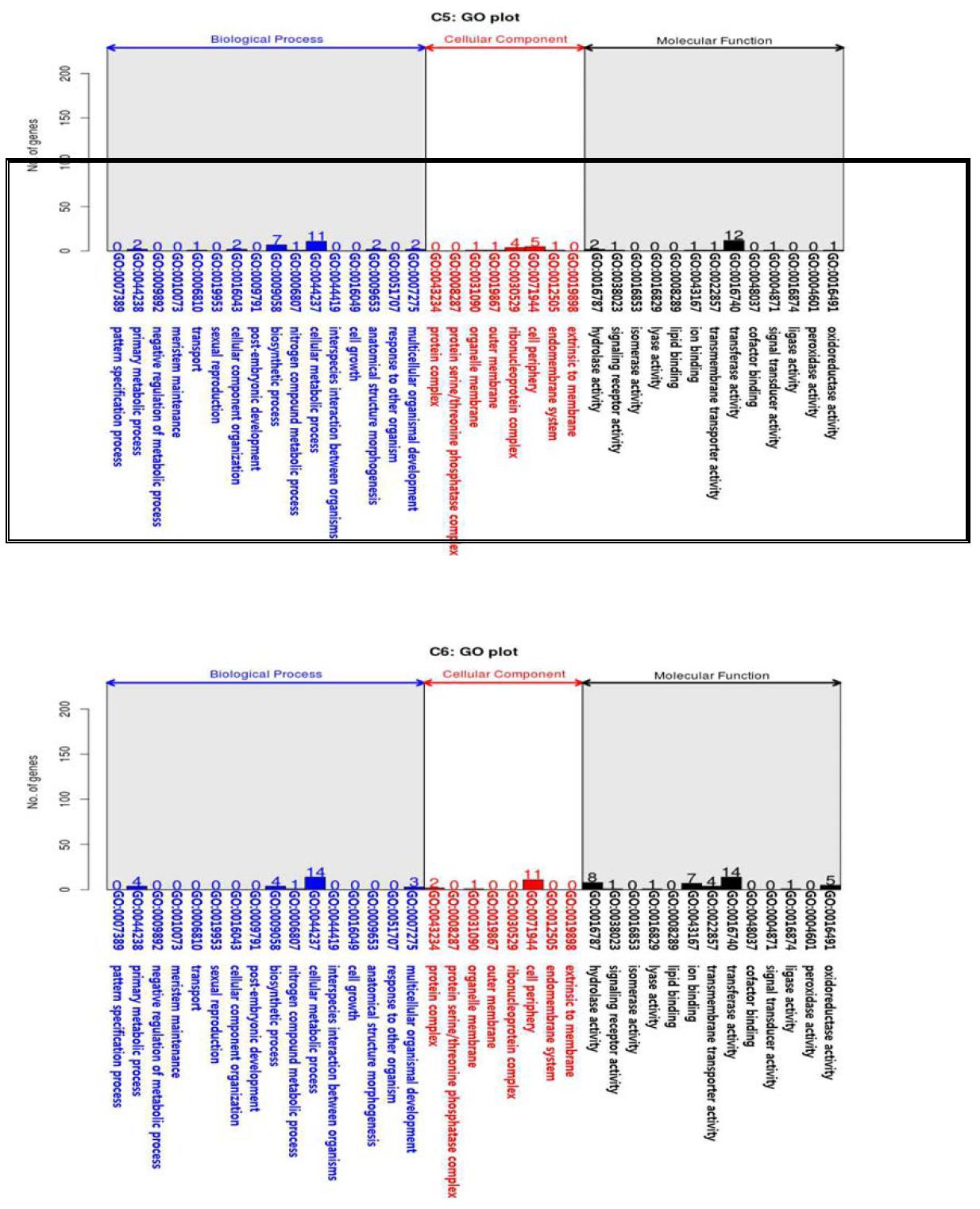 Results of cluster 5 and 6 according to gene ontology (Biological Process, Cellular Component, Molecular Function) of P. umbrosa