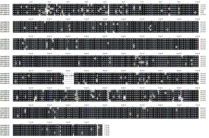 Alignment of amino acids sequences of other plants HDS with PuHDS.