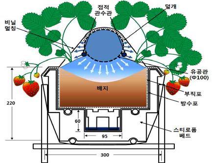 여름딸기 증발냉각식 부분냉방장치 베드 설치 단면도