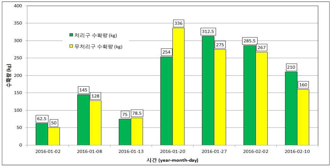 시험온실과 대조온실의 일별 수확량 비교도