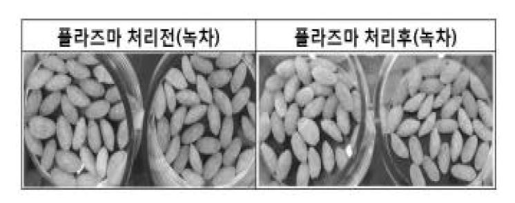 저온플라즈마 방전특성에 따른 E. coli 살균 효율 비교