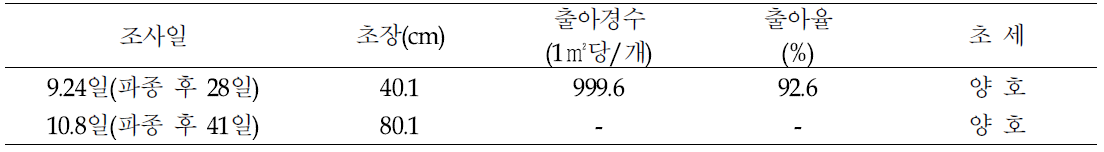 하파귀리(하이스피드) 생육특성