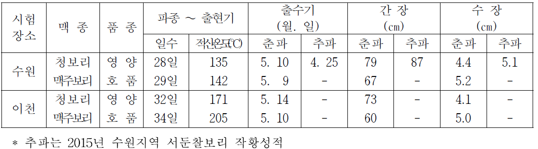 중부지역(수원, 이천) 맥종별 생육 특성