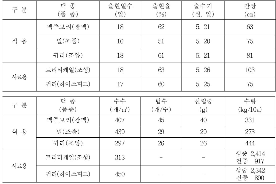 춘파 맥류 생육특성 및 수량