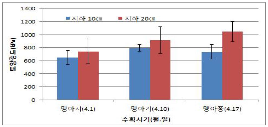 전년도 생육 억새의 늦은 수확시기별 생육 완료 후 시험포장의 깊이별 토양경도