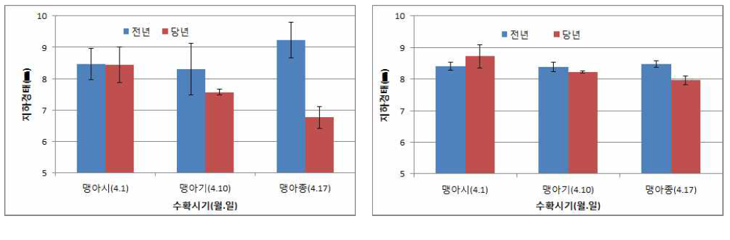 바이오에너지용 억새 포장의 전년도 생육 줄기 늦은 수확 시기별 생육 완료 후 전년 및 당년 생성 지하경태