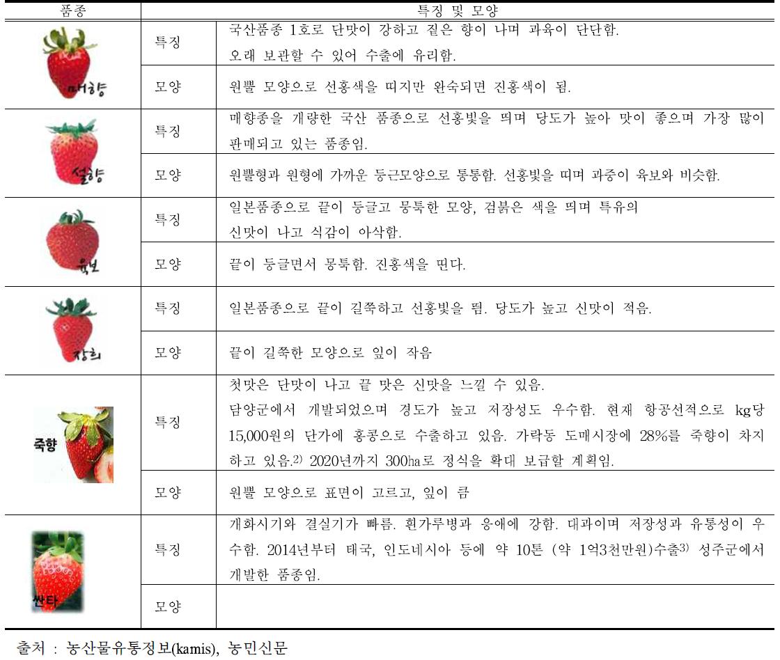 주요 딸기 품종별 특징