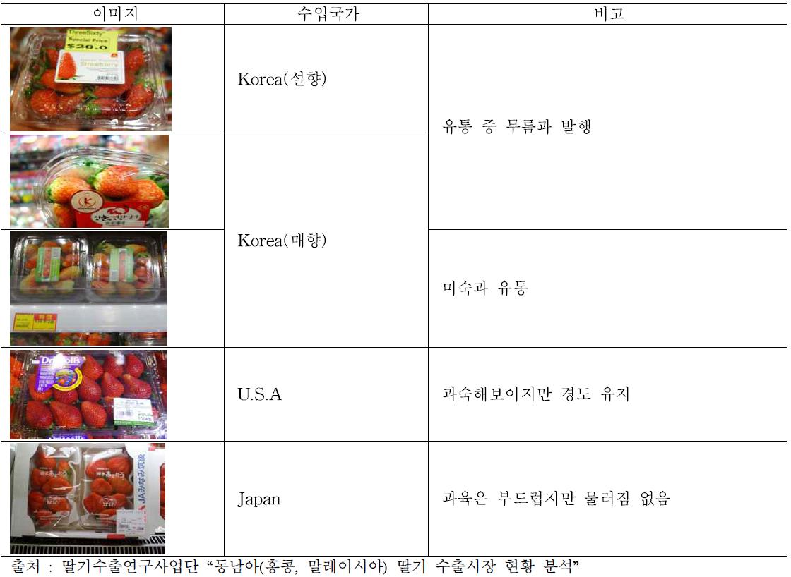 홍콩 딸기 유통 과정 중 문제점