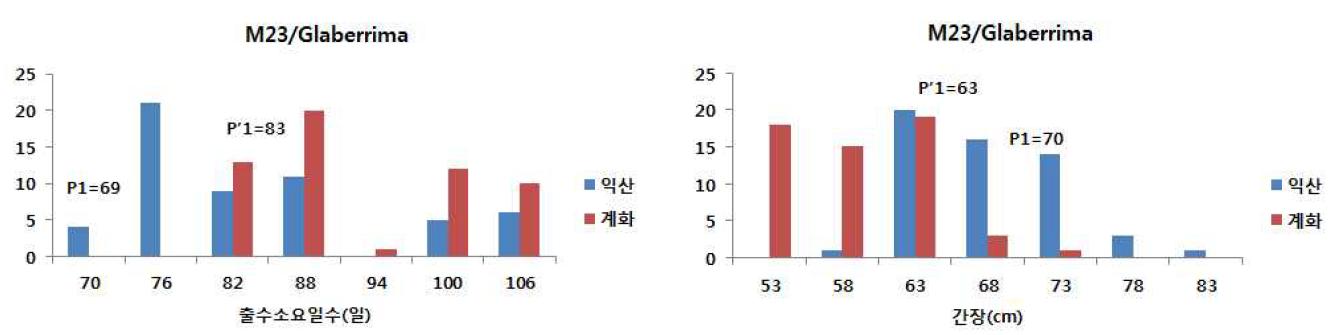 익산과 계화 포장에서 재배한 밀양23호/O. glaberrima 조합 55계통의 출수소요일수와 간장 분포.