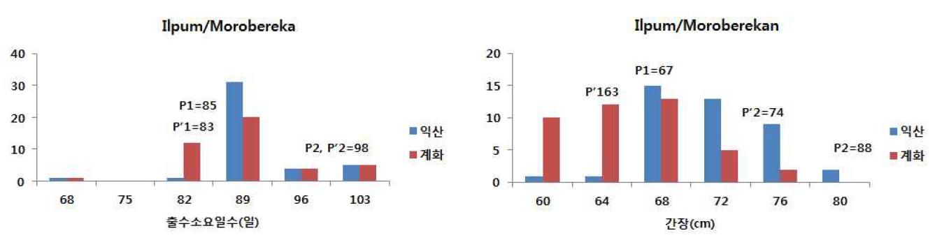 익산과 계화 포장에서 재배한 일품벼/모로베레칸 조합 42계통의 출수소요일수와 간장 분포