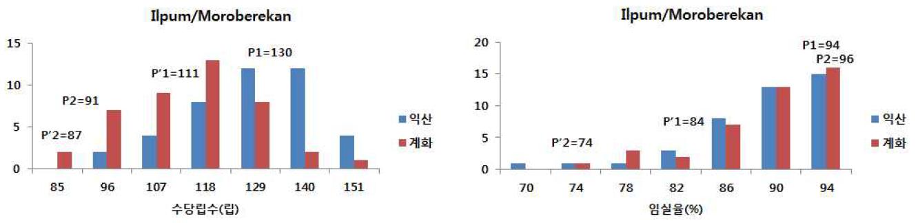 익산과 계화 포장에서 재배한 일품벼/모로베레칸 조합 42계통의 수당립수와 임실율 분포