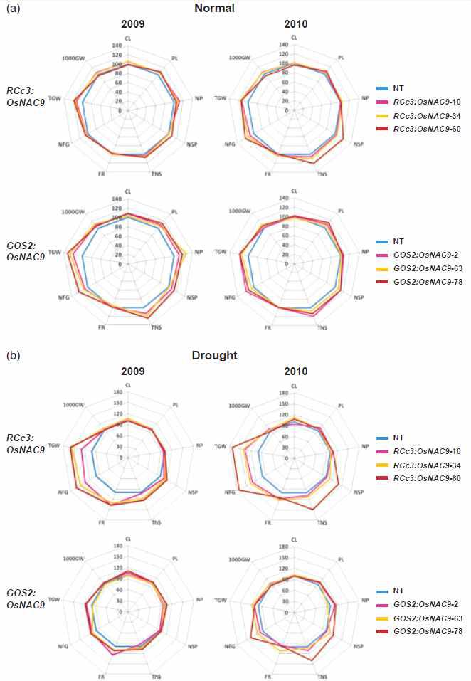 정상조건과 가뭄조건에서의 OsNAC9 형질전환체 농업형질 분석