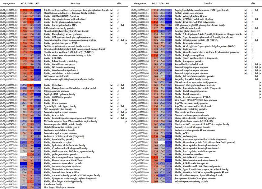 List of up-regulated genes in RCc3:OsNAC6 and/or GOS2:OsNAC6 transgenic plants and down-regulated genes in OsNAC6KO mutants in comparison with NT controls plants