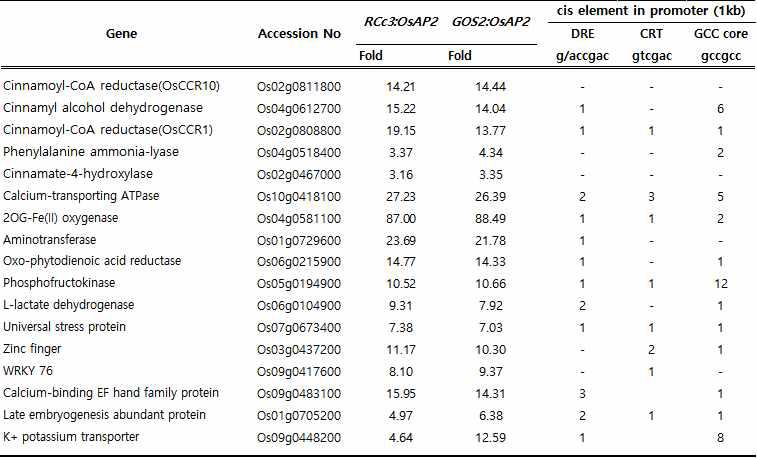 Promoter analysis of up-regulated genes in RCc3:OsAP2 and GOS2:OsAP2 plants