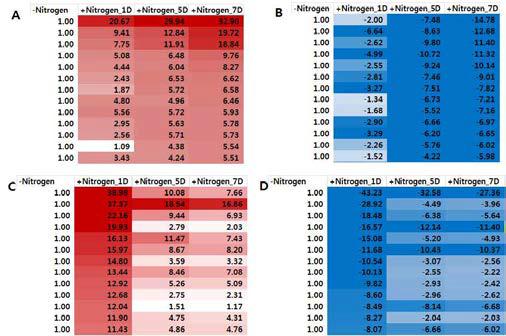 질소처리에 의한 유전자 발현변화 패턴