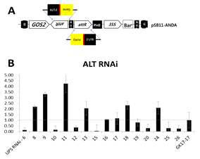 Expression level of RNAi lines in To plants.