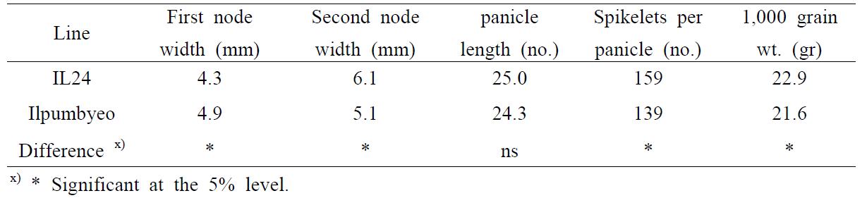 Comparison of agronomic traits between IL28 and Ilpumbyeo.