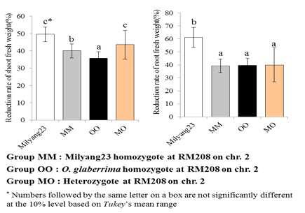 Comparison of two traits related to salt tolerance among three groups and Milyang23