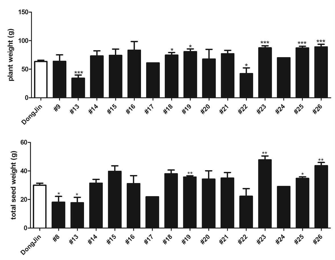 야생형 벼와 선별된 돌연변이체 라인들의 plant weight 와 total seed weight 비교 분석