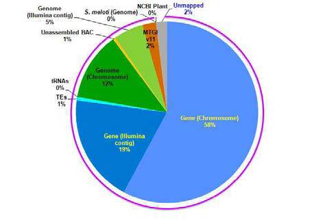 참조 서열에 대한 RNA-seq read의 매핑 결과