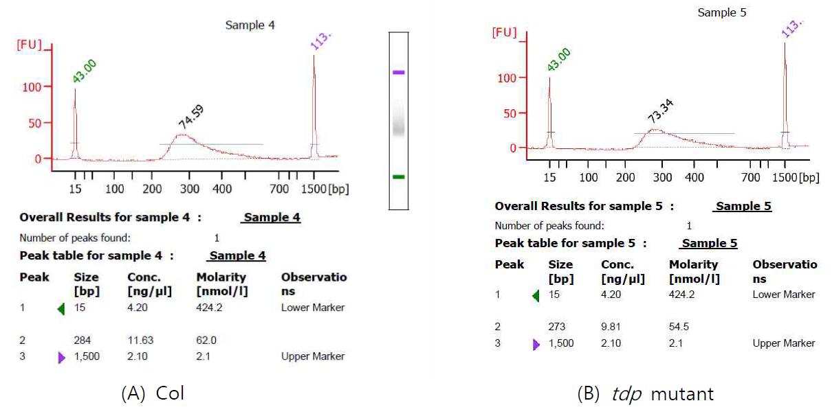 RNAseq library 정량