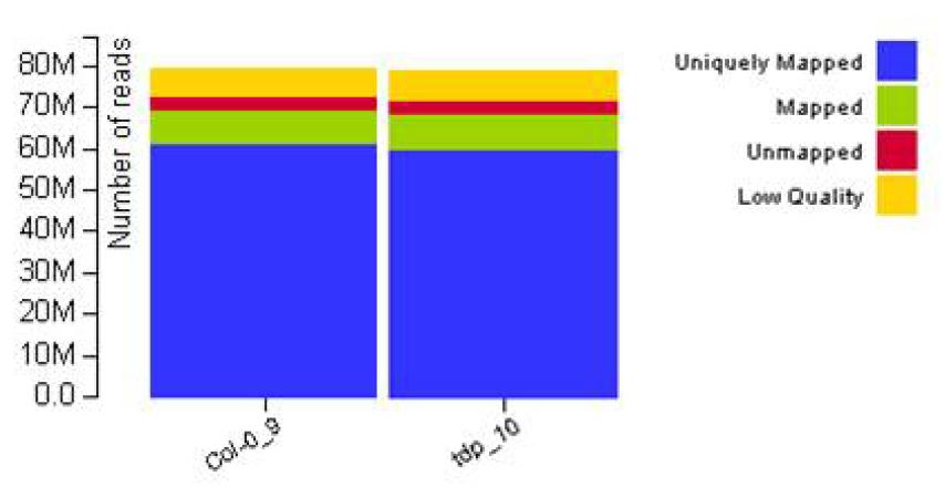 Alignment Statistics 결과