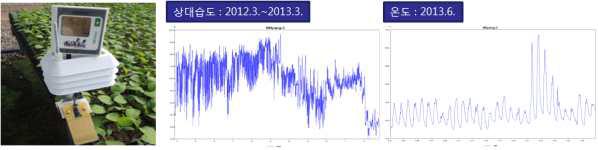 밀양지역 육묘장 미기상(온도, 습도, leaf wetness) 분석