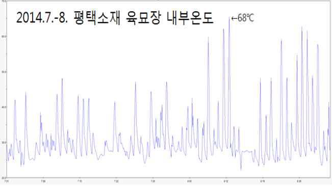 평택소재 육묘장 내부의 고온기 온도 변화