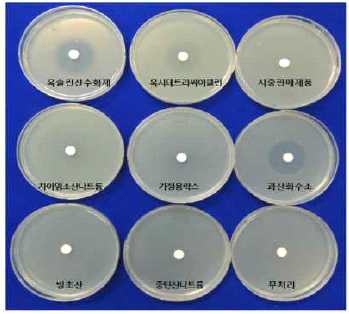 수박과일썩음병 병원균 소독제 선발