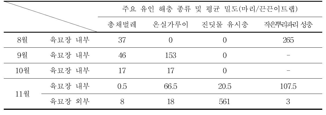 끈끈이트랩 이용 육묘장 해충 발생 (경기 A 육묘장)