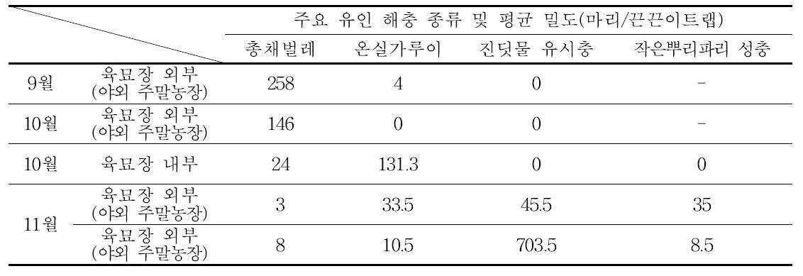 끈끈이트랩 이용 육묘장 해충 발생 (경기 B 육묘장)