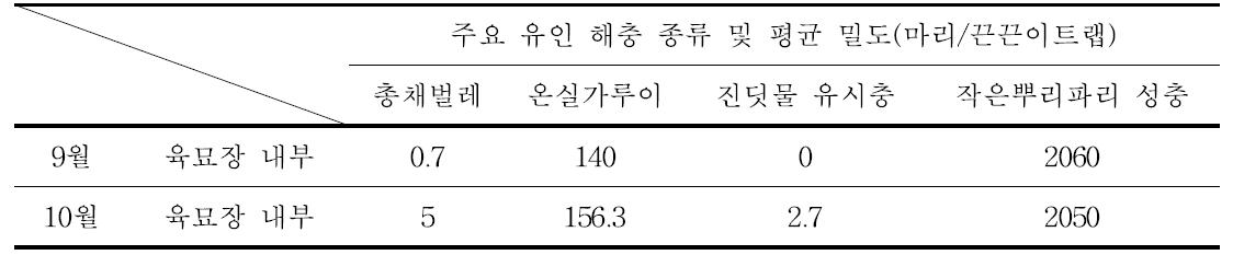 끈끈이트랩 이용 육묘장 해충 발생 (경기 C 육묘장)