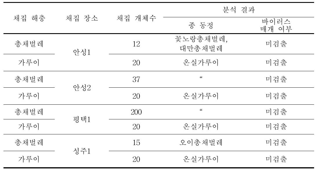 공정육묘장에서 채집한 총채벌레, 가루이류 동정 및 바이러스 매개 여부