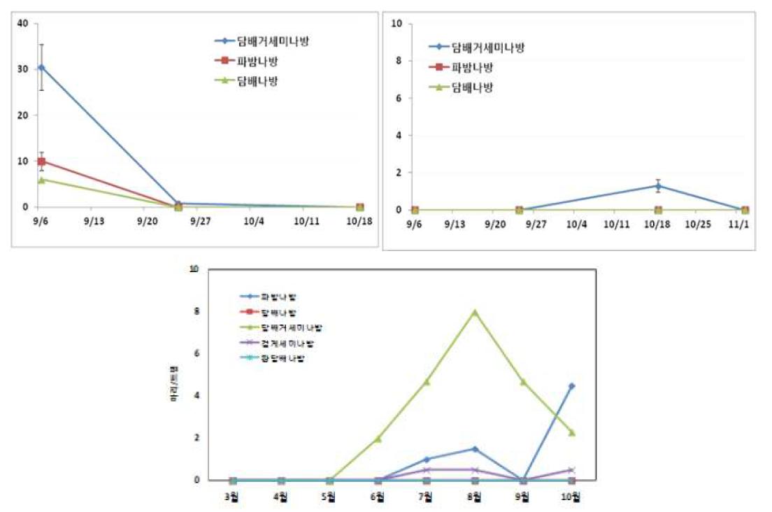 페로몬트랩 이용 공정육묘장내 나방류 발생 예찰 조사 결과