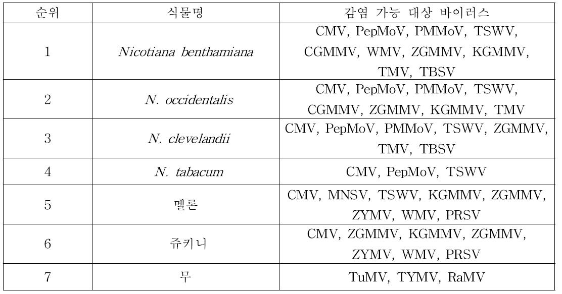 채소 육묘들로부터 바이러스 검출이 가능한 지표식물 선정