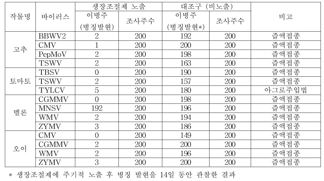 생장조절제에 노출된 채소 공정육묘에서 바이러스 접종 후 육안 병징 결과