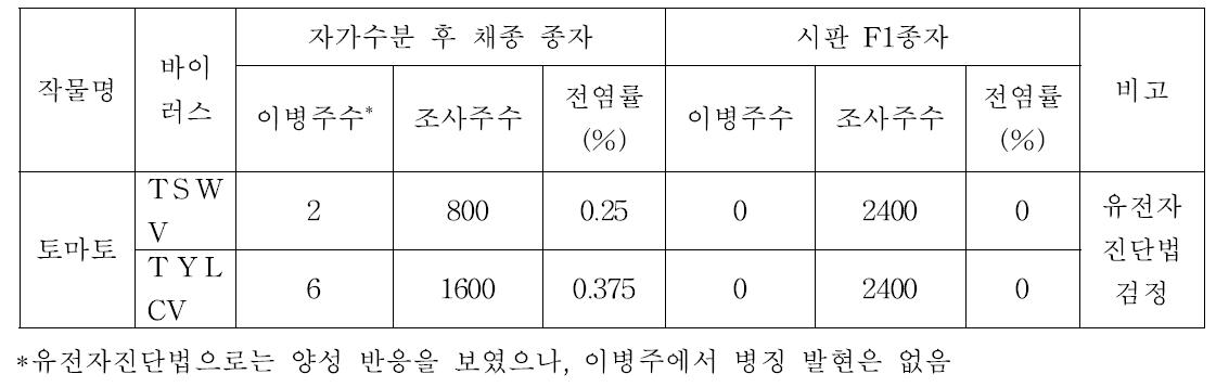 토마토에서 TSWV 및 TYLCV 종자 전염률