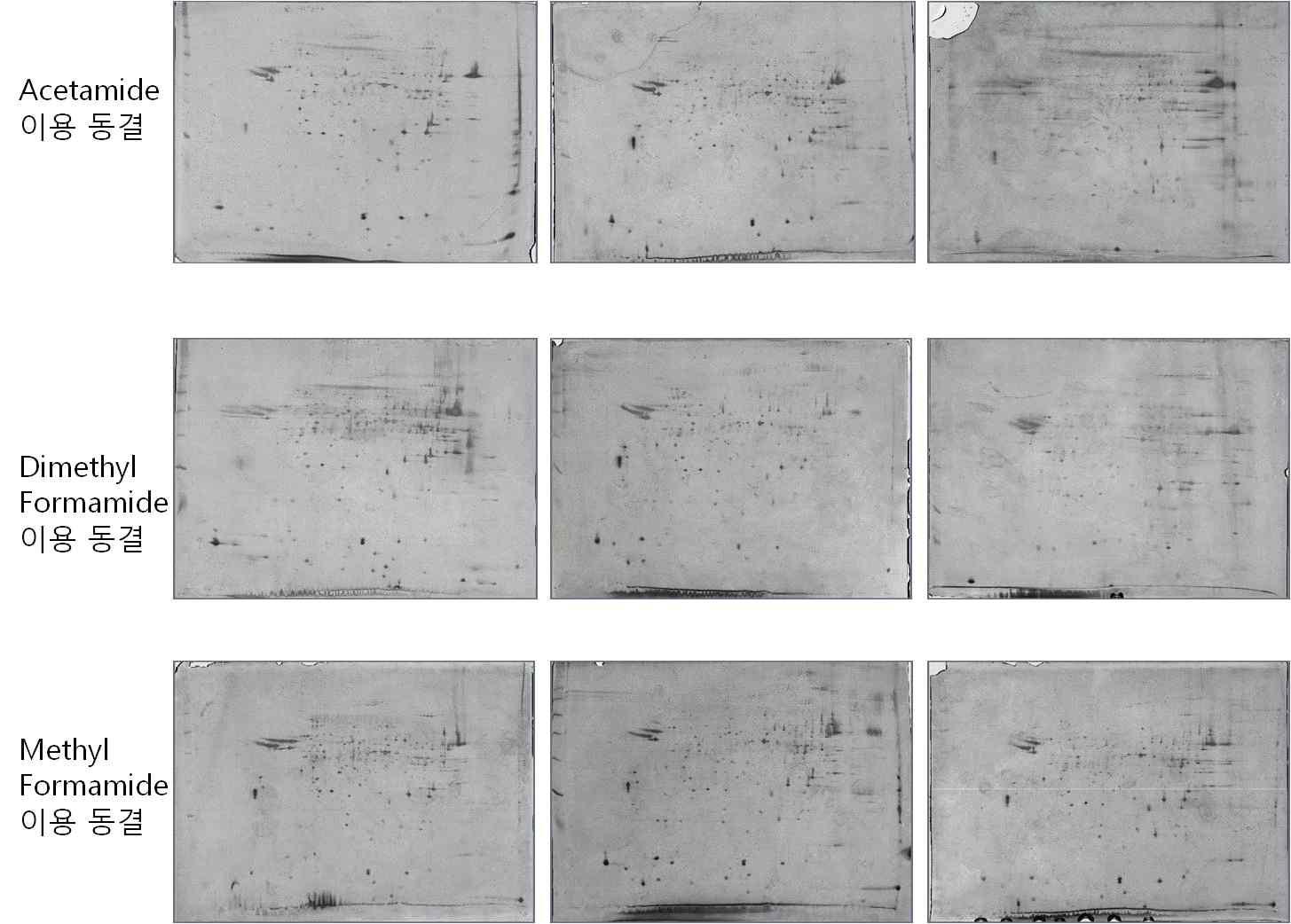 Detection of whole proteins of Korean Jeju Black Bull for comparison of cryoprotectants using 2 dementional electronic focusing