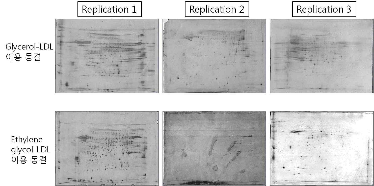 Detection of whole proteins of Korean Jeju Black Bull for effect of LDL on sperm proteins using 2 dementional electronic focusing