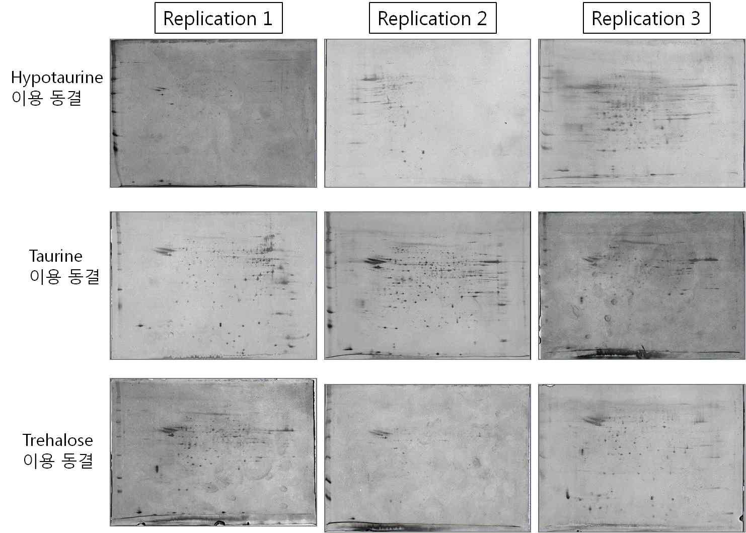 Detection of whole proteins of Korean Jeju Black Bull for effect of anti-oxidants on sperm proteins using 2 dementional electronic focusing