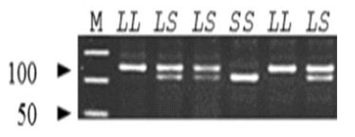 Analysis of different GALM genetypes