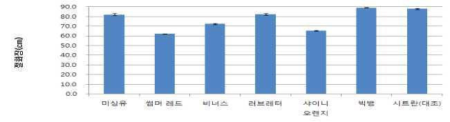 장미시범재배 스탠다드 품종 절화장 조사(2012)
