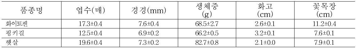 스프레이품종 절화 특성조사(2012)